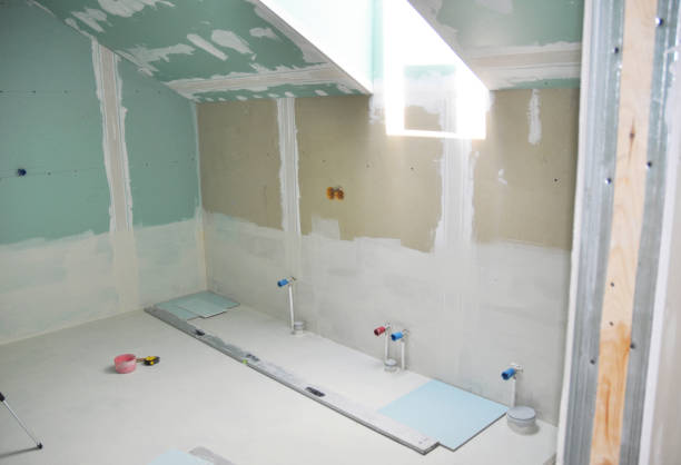 Best Mold Damage Restoration  in Rye Brook, NY