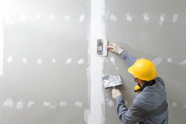 Professional Mold Removal in Rye Brook, NY