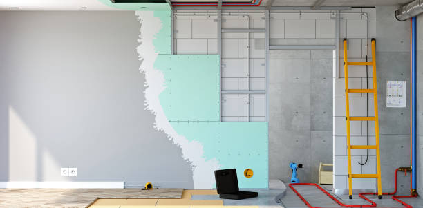 Best Attic Mold Removal  in Rye Brook, NY