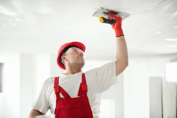 Best Crawl Space Mold Remediation  in Rye Brook, NY