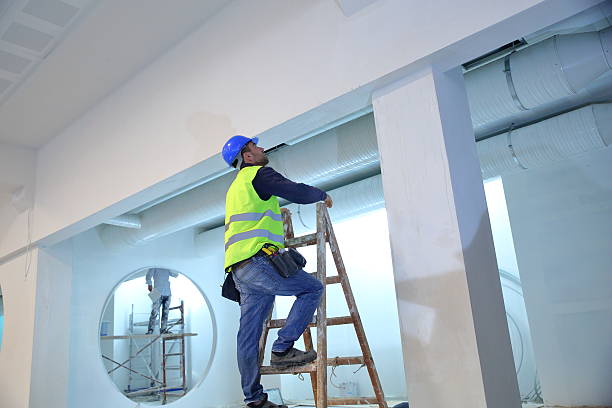 Best Basement Mold Removal  in Rye Brook, NY