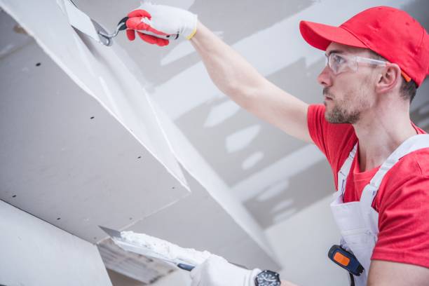 Best Comprehensive Air Testing for Mold Contaminants  in Rye Brook, NY